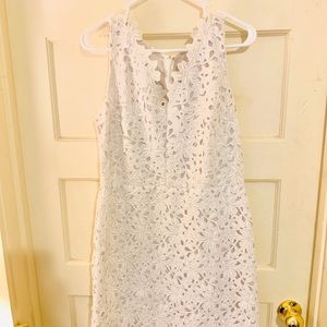 Gorgeous Loft Spring Dress Flowered lace